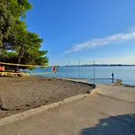 Sara * Петрчане