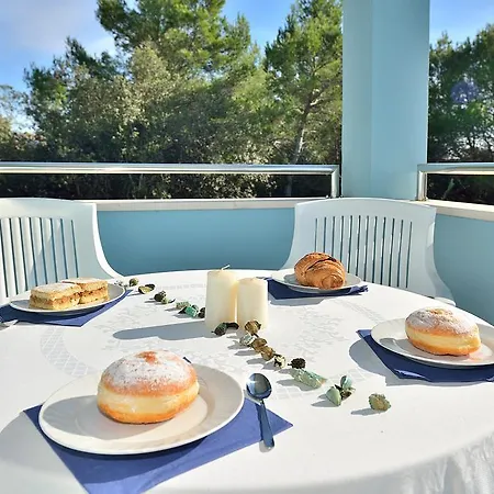 Sara Appartement Petrcane