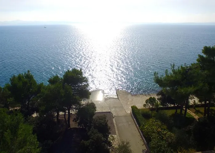 Sara بيتريتْشاني