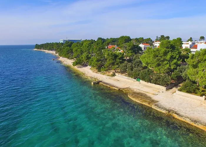 Sara * بيتريتْشاني