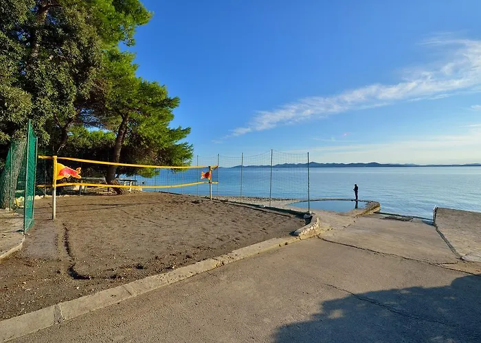 Sara * بيتريتْشاني